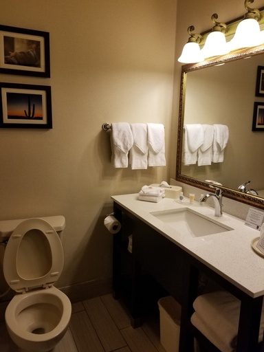 Bathroom 3, Comfort Suites McAllen Airport and La Plaza Mall, Hidalgo