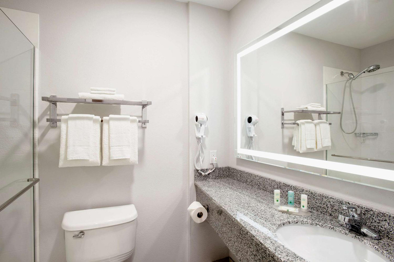 Bathroom 5, Quality Inn and Suites Winnipeg, Division No. 11