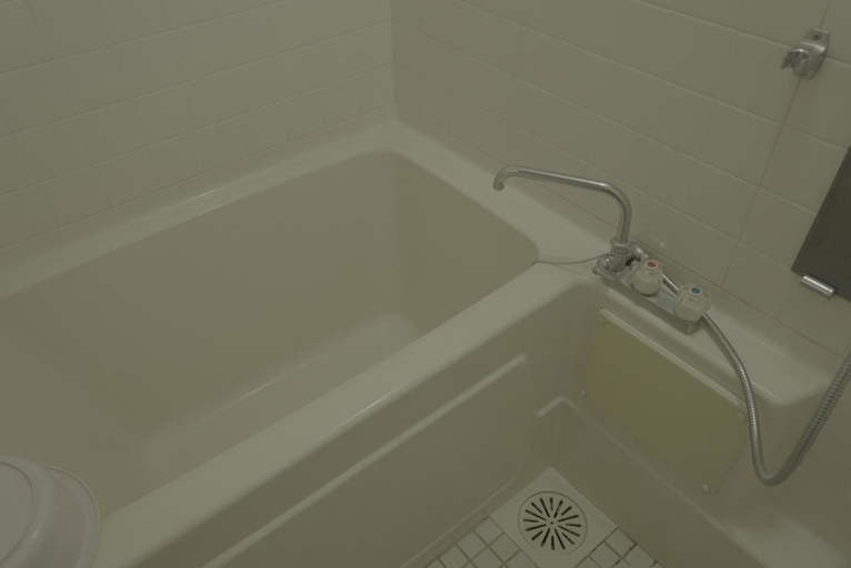 Bathroom 2, Hotel Nakayama-so, Miyakonojō