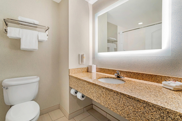Bathroom 5, Comfort Inn Dayton South, Rhea