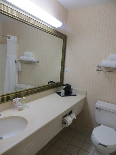 Bathroom 3, Country Inn and Suites By Radisson Gurnee, Lake