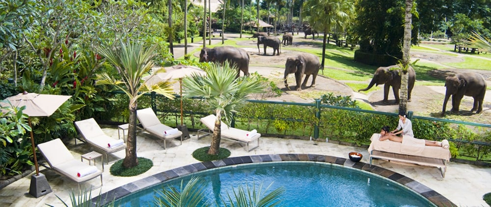 Others 3, Mason Elephant Lodge, Gianyar