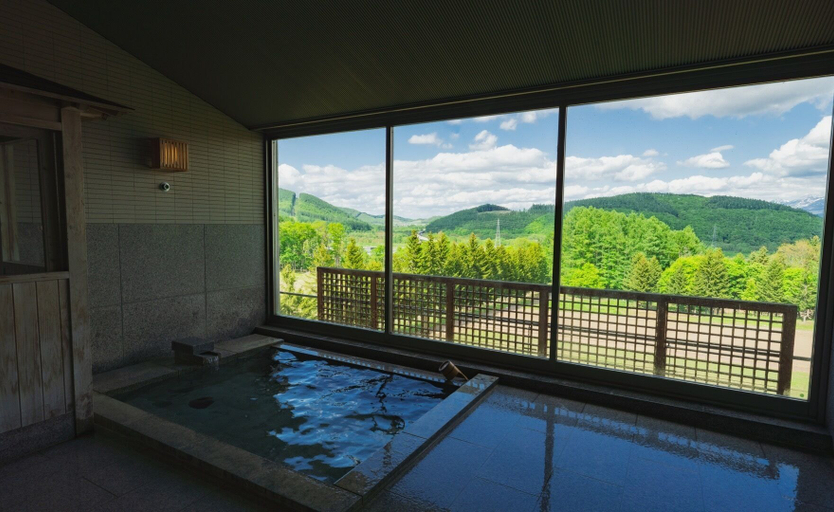 Hot springs 2, FURANO HOTEL, Furano
