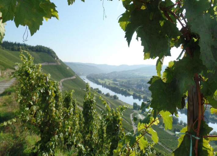 View from property 2, Apartment in Danma mit Gemeinschaftskuche, Cochem-Zell