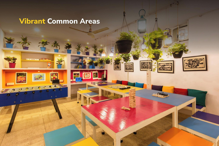 Food & Drinks 4, goSTOPS Lite Jaipur, Jaipur