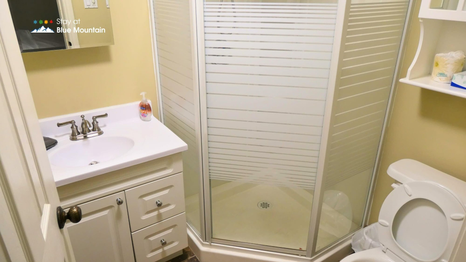 Bathroom 4, Mountain Views, Steps to BM Village, Hot Tub, BBQ., Grey