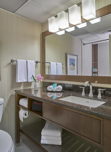 Bathroom 5, Hyatt Regency Milwaukee, Milwaukee