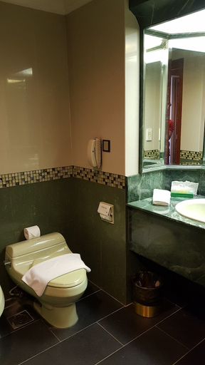 Bathroom, The Centrepoint Hotel, Bandar Seri Begawan