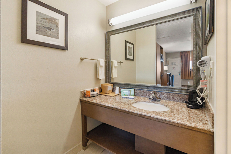 Bathroom 4, Clarion Pointe Galveston Beachfront, Galveston