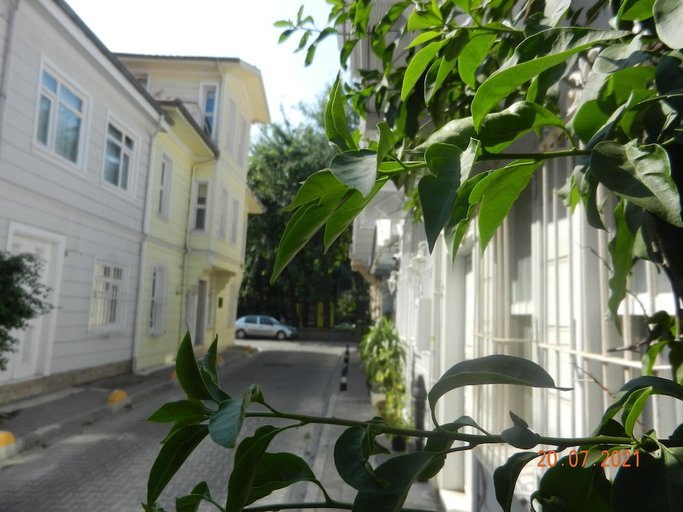 Exterior & Views, Royal Suites Sultanahmet, Fatih