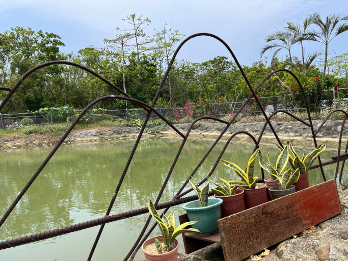 Others 3, 夏日禾風, Pingtung