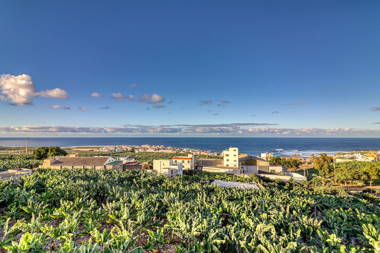 Room 2, Special Home w Tropical Garden Near Seaside, Santa Cruz de Tenerife
