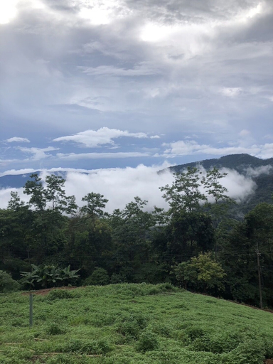 Others 5, Phuchifaresort, Muang Chiang Mai