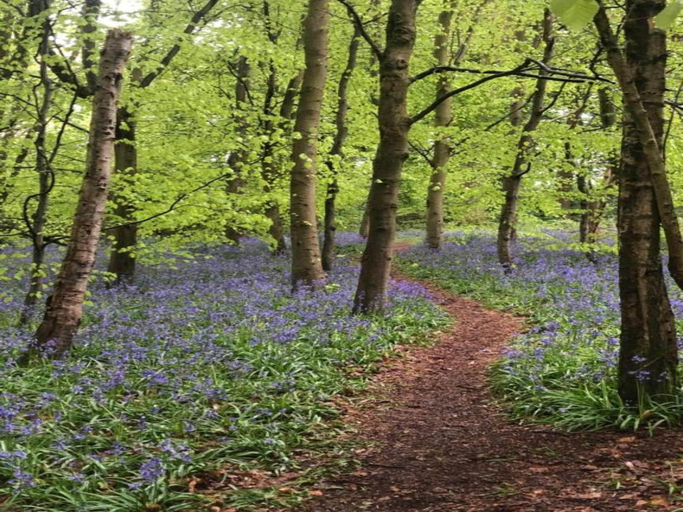 2, Cottage in Netley Hall with Scenic Trails, Shropshire