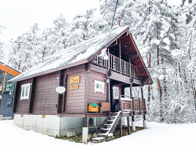Exterior & Views 2, HAL Cottage, Hakuba