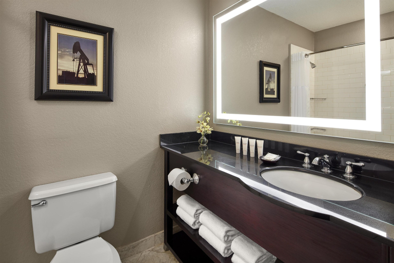 Bathroom 5, Hyatt Regency Tulsa Downtown, Tulsa