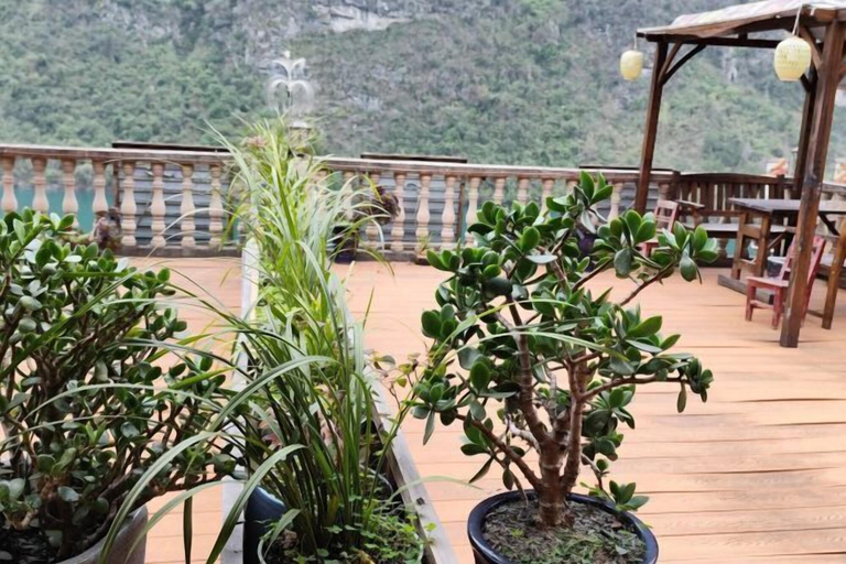 Others 4, Yuanyuan Inn, Chongqing