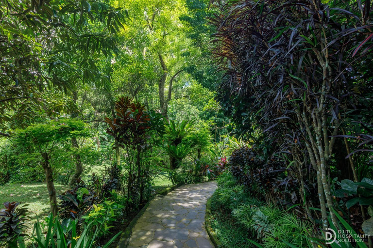 View 4, Taman Indrakila Villa, Gianyar