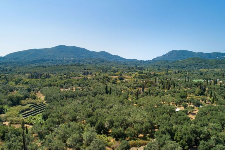 Room 5, Jennys House in Stroggili, Ionian Islands