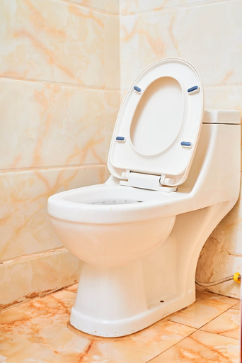 Bathroom, white Palace Hotel, Lilongwe City