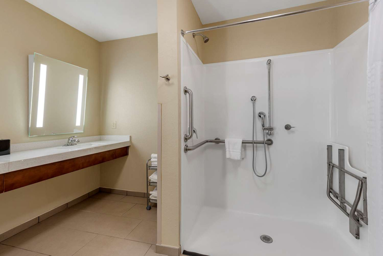 Bathroom 4, Comfort Suites Dry Ridge, Grant