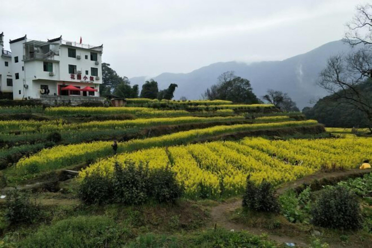 Others 4, Wuyuan Jiangling Garden Hostel, Shangrao
