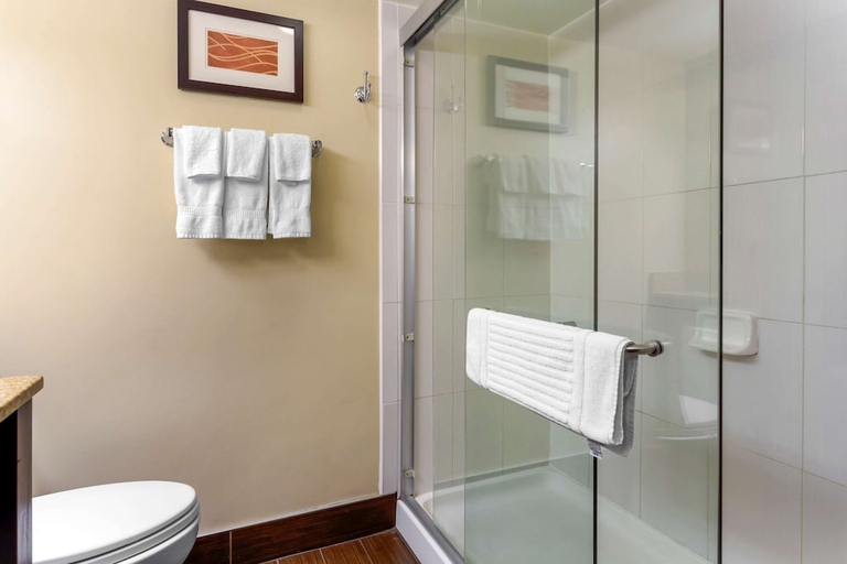 Bathroom 3, Comfort Inn Hammond I-94, Lake