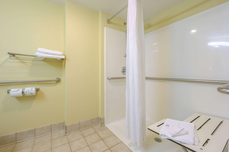 Bathroom 5, Econo Lodge Inn & Suites Triadelphia - Wheeling, Ohio
