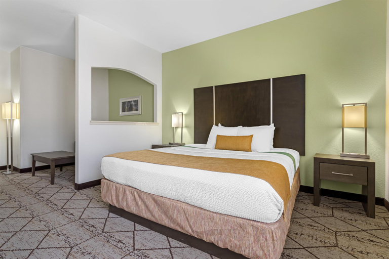 Bedroom 3, Best Western Plus North Houston Inn & Suites, Houston
