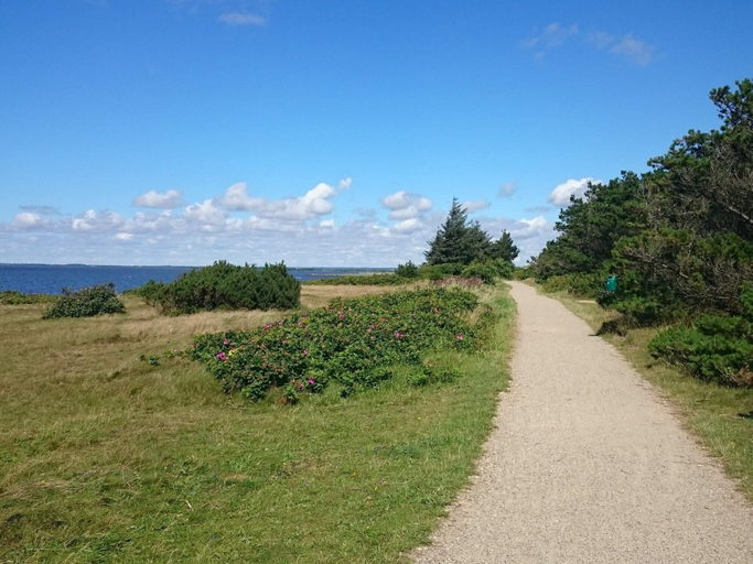 Others 4, 6 Person Holiday Home in Hemmet, Ringkøbing-Skjern