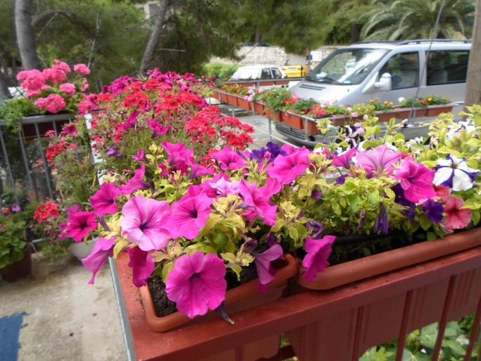 Others 4, Guest House Sobra 38 - Double Room with Garden View 3, Mljet