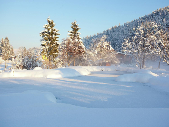 Surrounding environment 5, Chalet Montafon in Gaschurn With Sauna, Bludenz