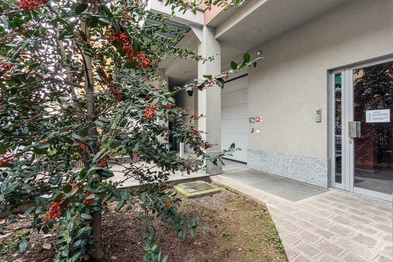 Room 2, Candiani A1 Monolocale, Milano