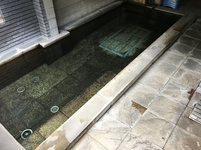 Bathroom 4, Enokiya Ryokan, Yufu