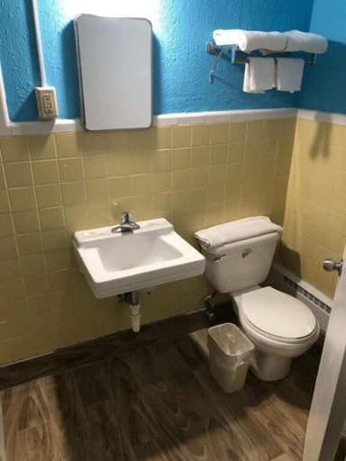 Bathroom 2, Collier's Motel, Jefferson