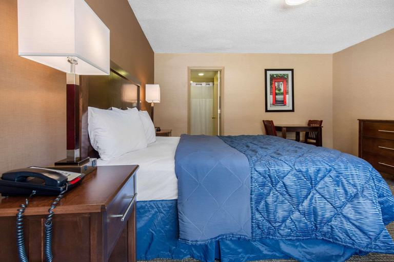 Bedroom 2, Rodeway Inn Chicago North Shore - Lincolnwood, Cook
