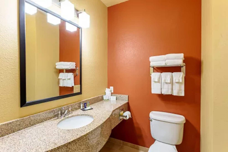Bathroom, Comfort Suites Tyler South, Smith