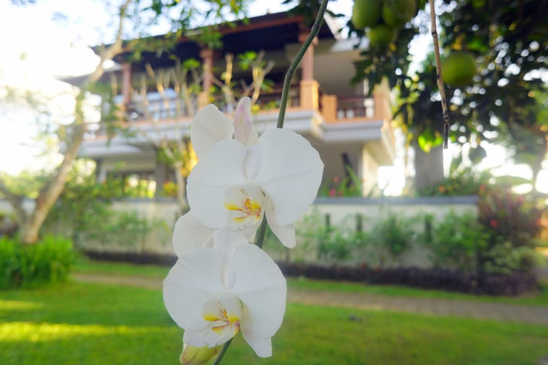 Exterior & Views 2, Villa Annapurna Bali, Badung
