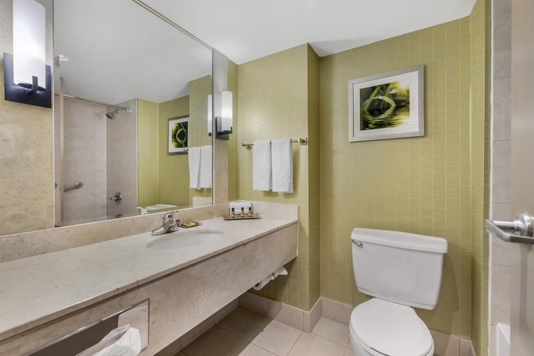 Bathroom 4, Best Western Plus Waterfront Hotel, Essex