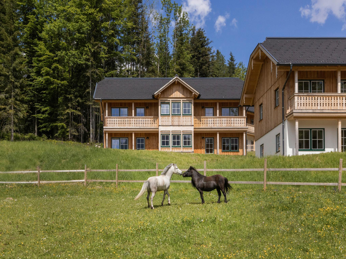 3, Nice chalet by Zlaimlift, Liezen