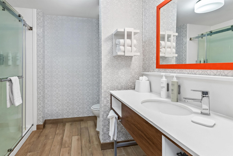 Bathroom 4, Hampton Inn & Suites Farmington, San Juan