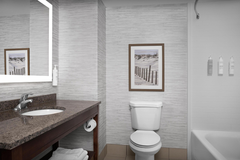 Bathroom 4, Hampton Inn & Suites Ocean City/Bayfront-Convention Center, Worcester