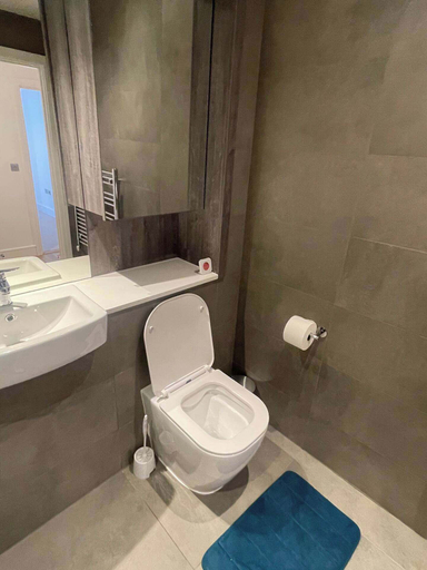 Bathroom 2, 1 Bed Apartment- Sleeps 2 Parking Pets Allowed, Birmingham