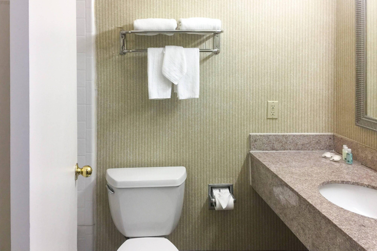 Bathroom 3, Quality Inn & Suites Oceanside near Camp Pendleton, San Diego