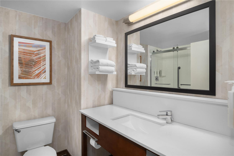 Bathroom 4, Hampton Inn Memphis/Southaven, Desoto