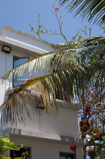 Exterior & Views 2, Barabara House, Kusini