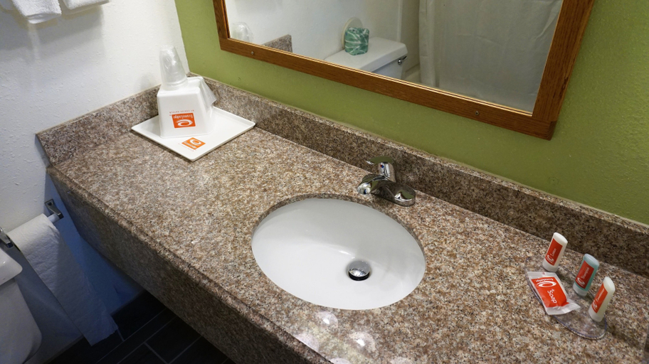Bathroom, Econo Lodge Inn & Suites Pekin - Peoria Area, Tazewell