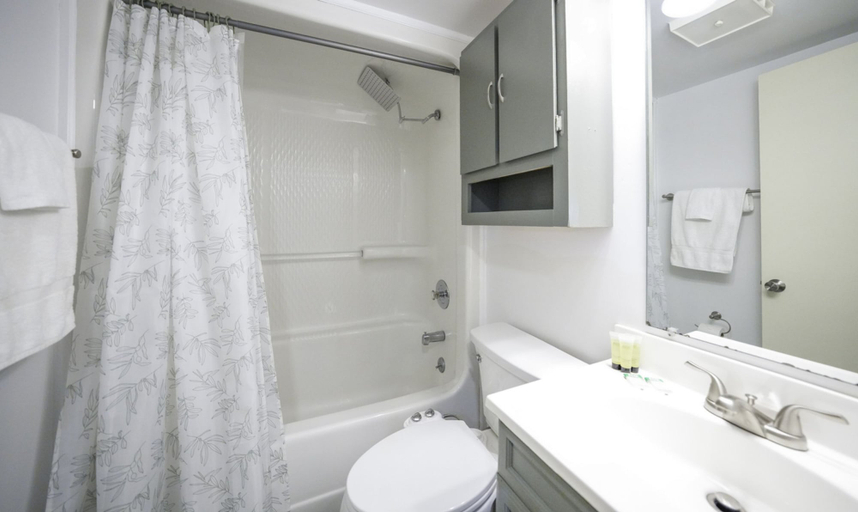 Bathroom, Workspace Studio Ski-in Ski-out AC, Pocahontas