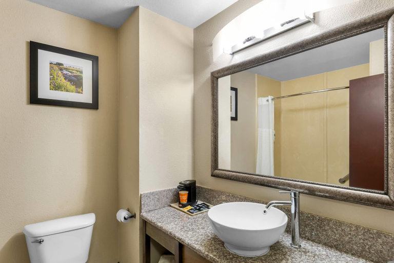 Bathroom 4, Comfort Inn Corsicana East, Navarro