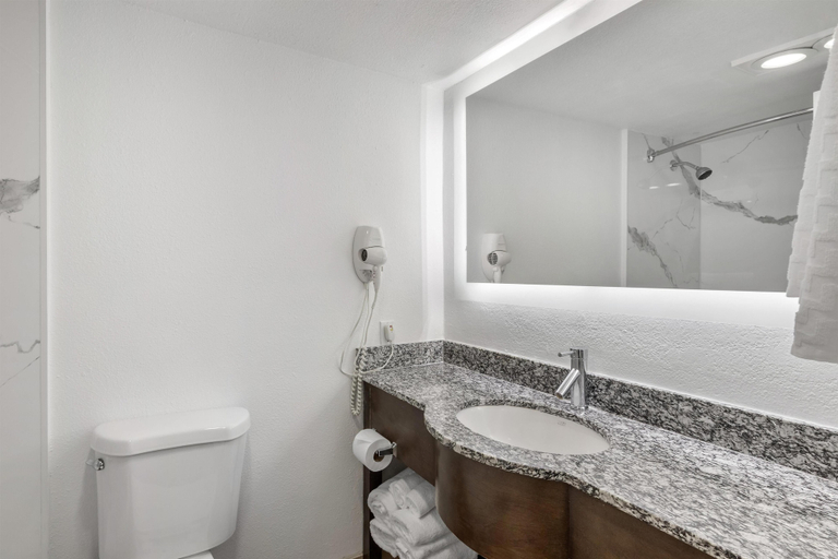 Bathroom 4, Best Western Palm Beach Lakes, Palm Beach